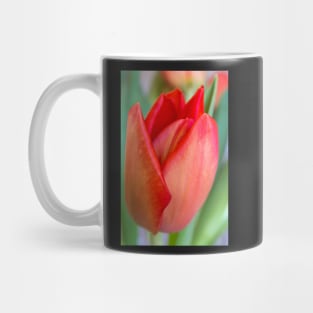 Blooming Tulip Greeting Card Mug